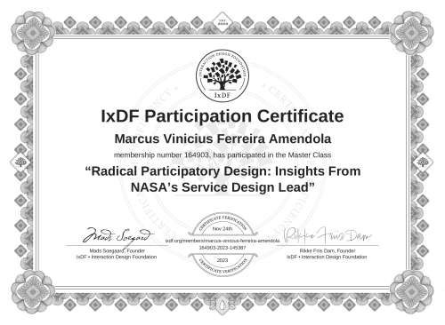 Radical Participator