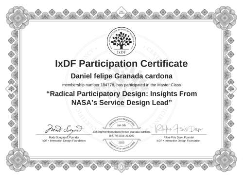 Radical Participator