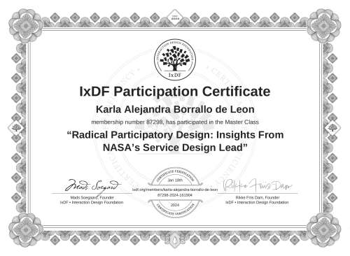 Radical Participator