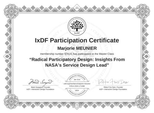 Radical Participator