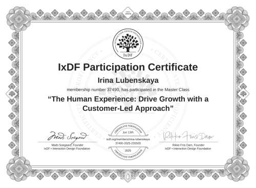 The Human Experience